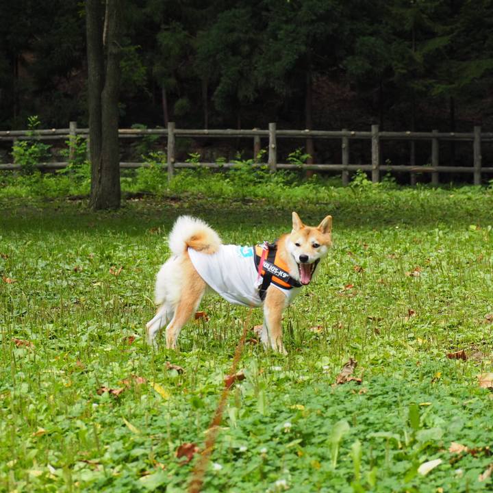 07c22410 4823 48fc a637 112bb7c00230