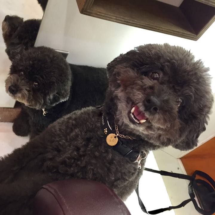 07c377d4 6707 4374 9b87 8a458466e7aa