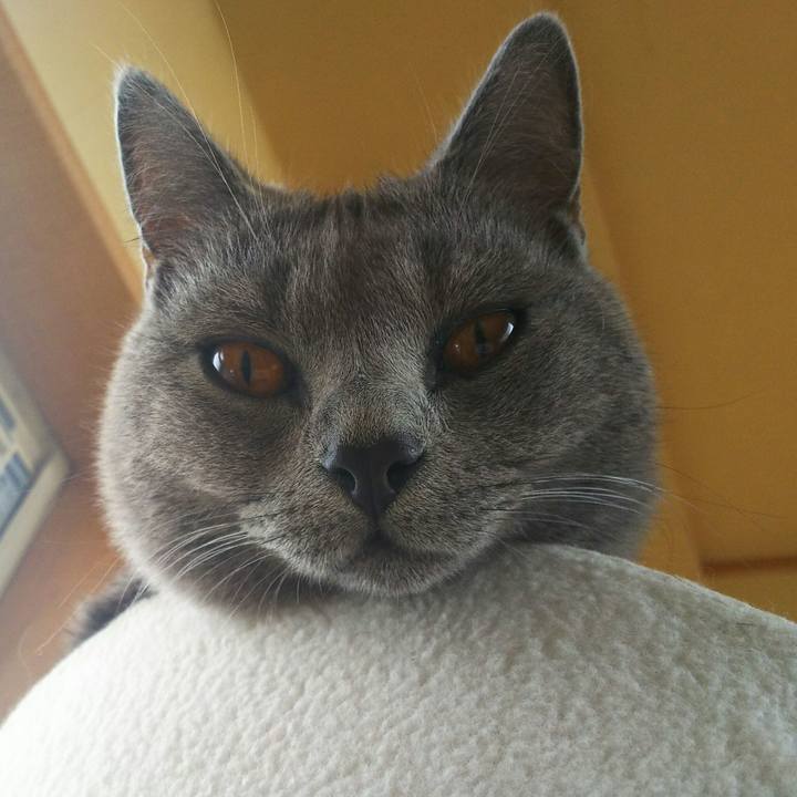 07c468f6 4213 4e7f b78f fe30af7f0a75