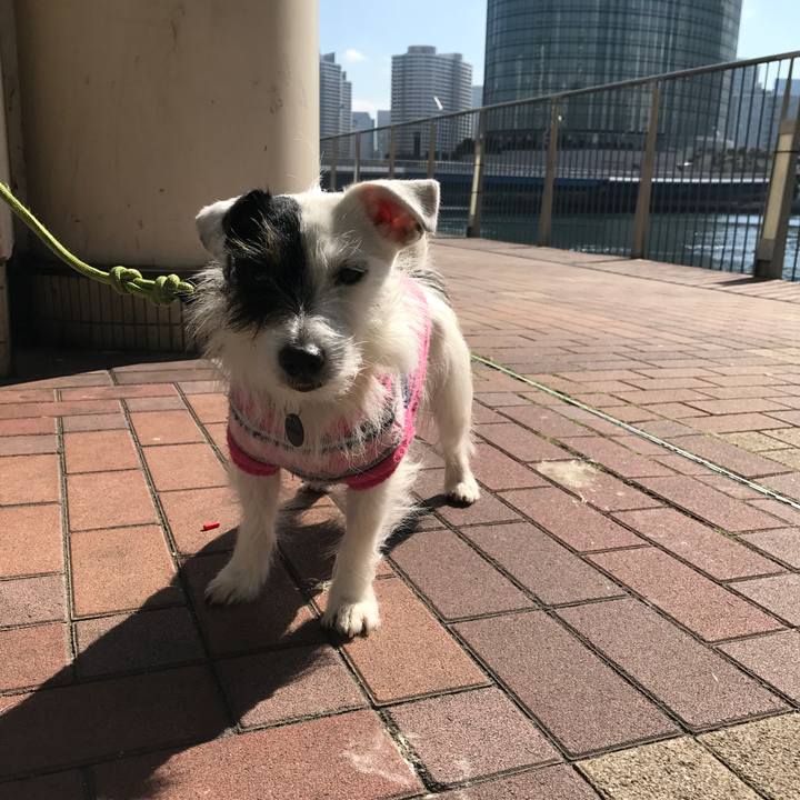 07c47ab7 5684 4e00 8ff6 999921610289