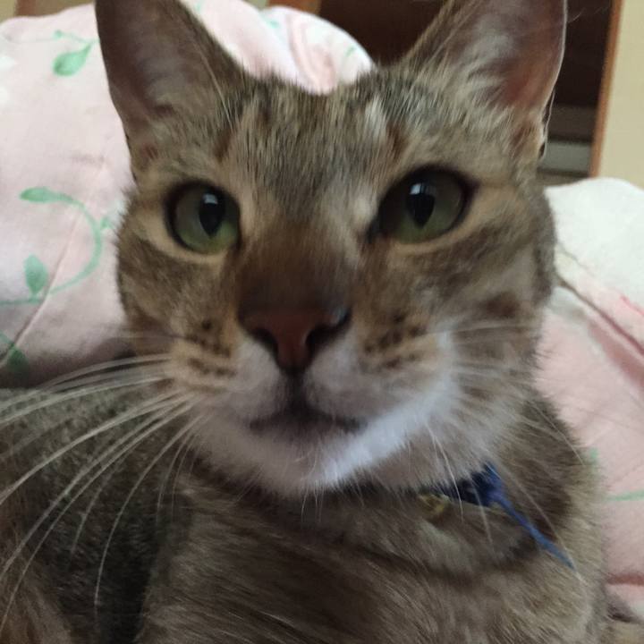 07c4ac9f 6a74 40e2 8bfe 7720c025f753