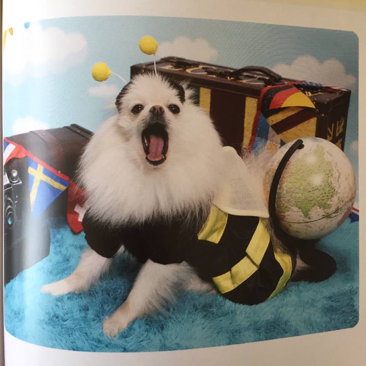 07c4bb72 269c 4048 b484 35e2c4e48b06