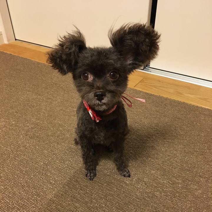 07c4be56 14ab 41e6 a188 3f122985c9f2