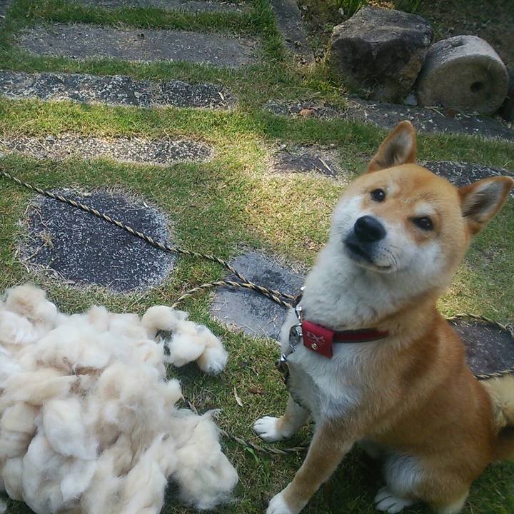 07c4f27d 894d 497c a531 f915fd38f889