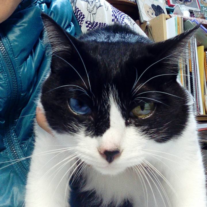 07c5e435 6356 44fd 9e1d 3492d760f5d6