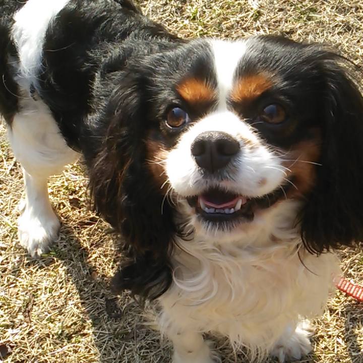 07c6ec32 d984 45d7 8e8c 8dea084b8dc0