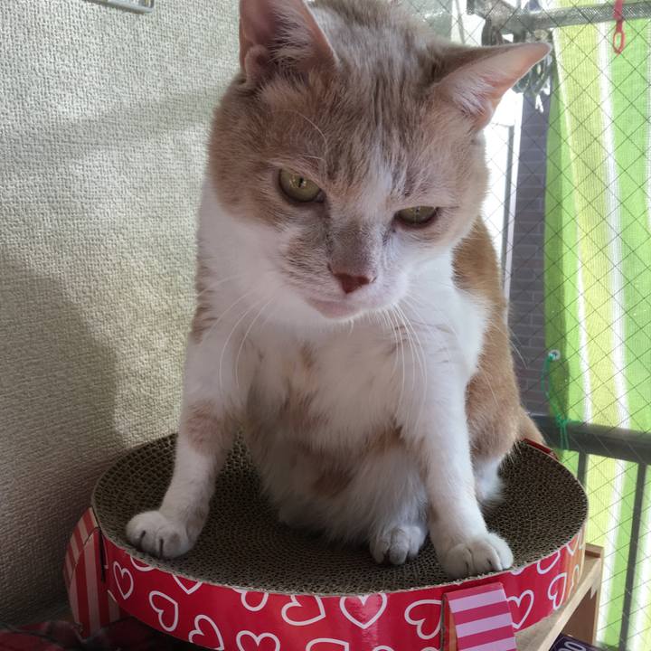 07c78577 e324 466b bf73 bb145c62d9e1