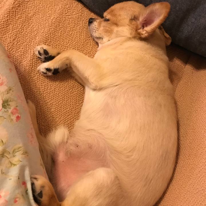 07c7bf11 0148 46bd 90e1 df29c3ed8de2