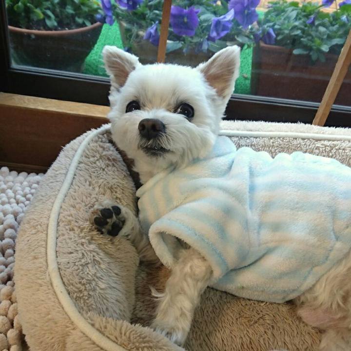 07c7d065 1650 4a14 abf3 dc61d6fadd24