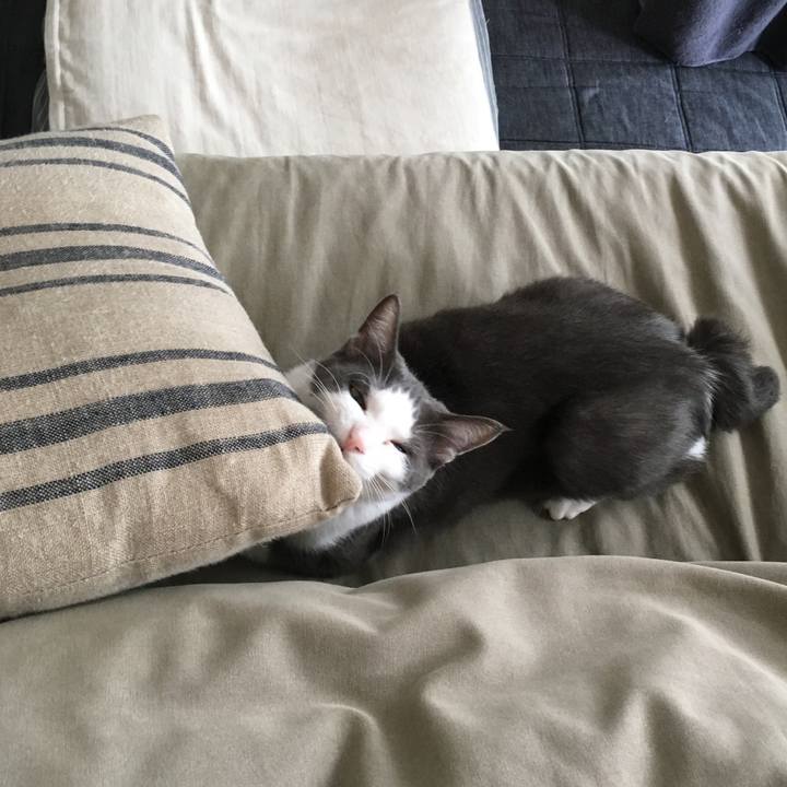 07c97c4d 9740 4686 9e93 e87a6274c8bb