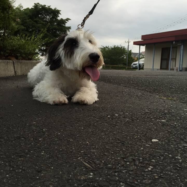 07c9ae9d d3c8 4c93 8e50 e72c64cb7fe8