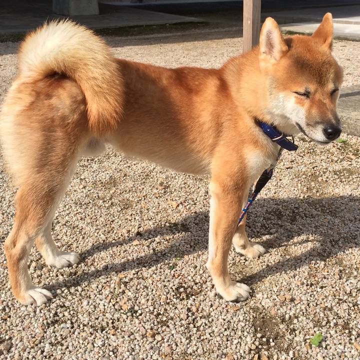 07c9aeb9 660b 4a06 80e4 b7181eb933a9