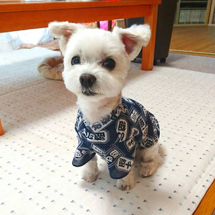 07ca4099 79f6 496d bdfa 2590e8a275bf