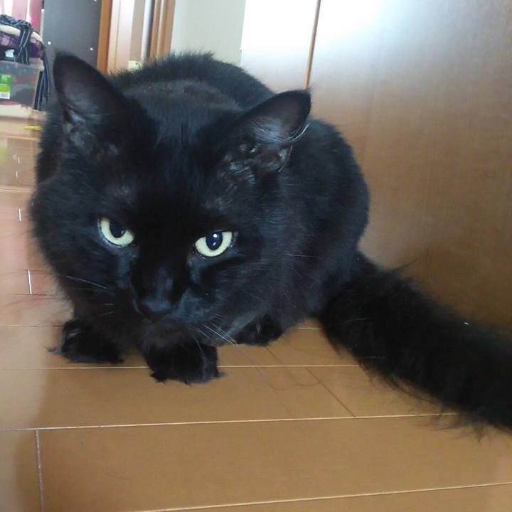 07ca52c7 22ca 42fb 8fb5 7c3667b3cee9