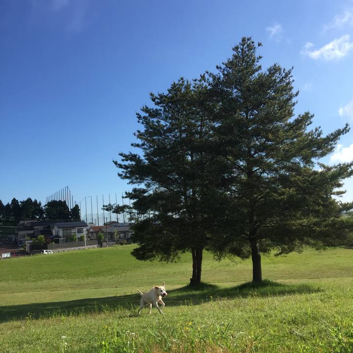 07ca6925 3c68 4677 adfd 6dbef4696821