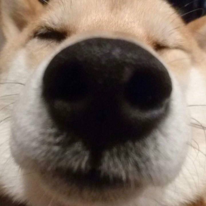 07caee67 b414 4276 be13 933422dccf89