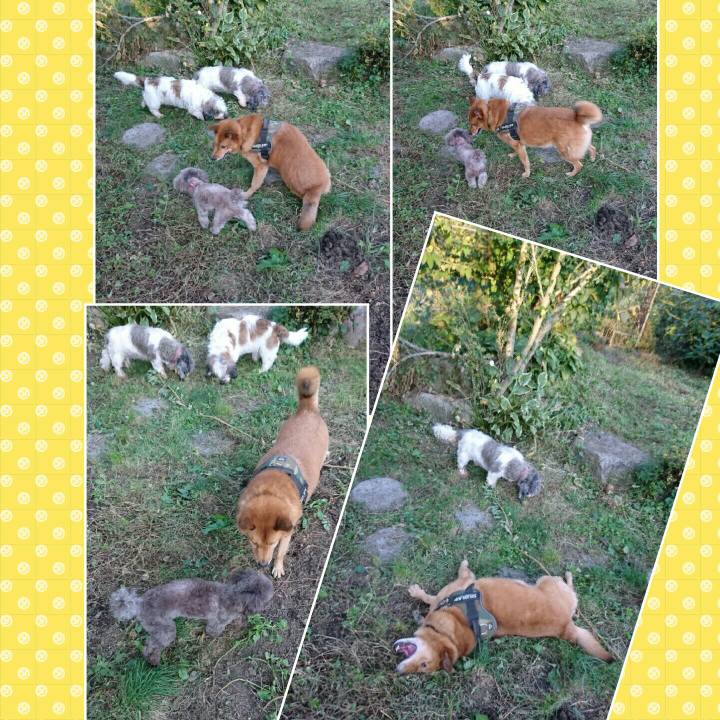 07cb1f83 91ef 439a a252 3e3a48fbd7c6