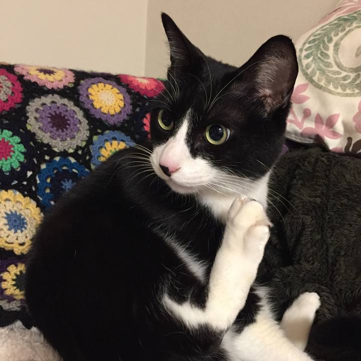 07cb3450 d8e7 4aaf 92c2 b18410e65cec