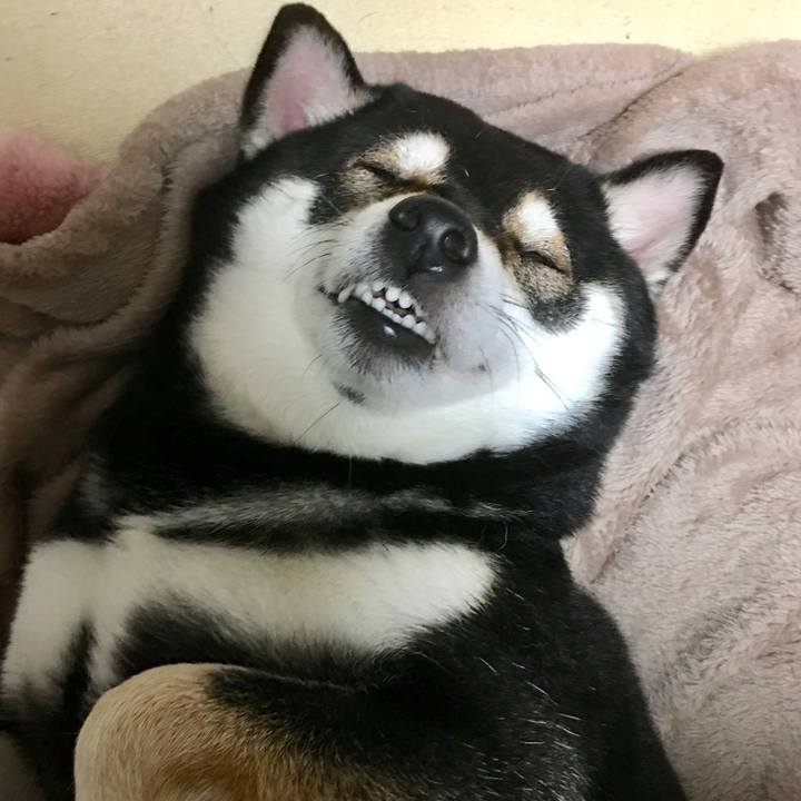 07cb919e 5436 4fdf 8484 ab858cc81d77