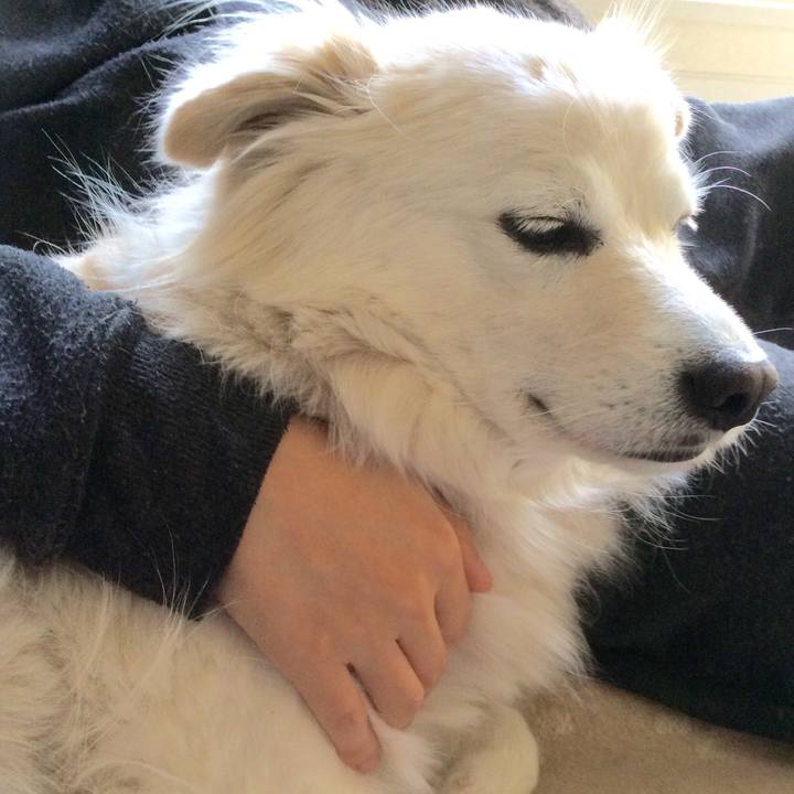 07cc9fb4 e81d 4477 b5a9 bbb3393b649f