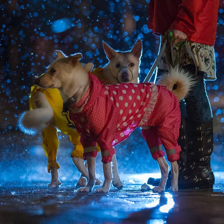 07ccdad1 7c3f 4517 9d5f 2e49e752cdb1