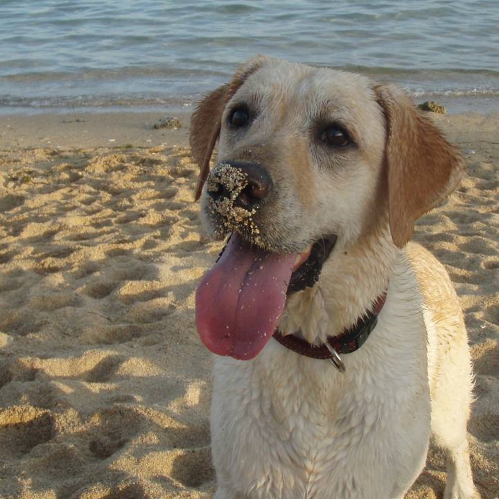 07cd1700 aed5 448f b2a1 04e955874b90