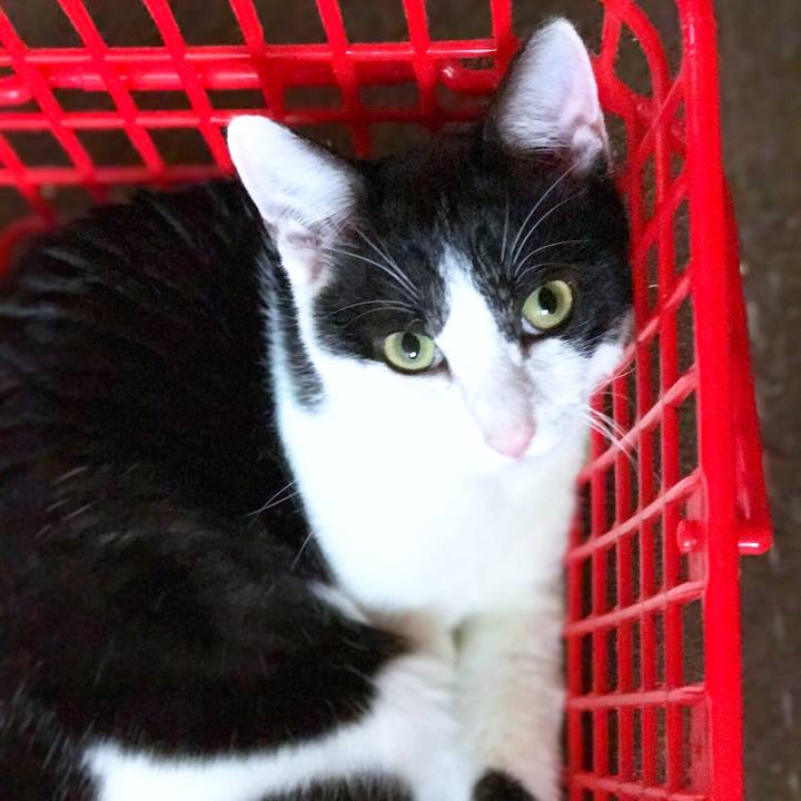 07cd23e0 66d9 45d9 95e5 171df0c017b1