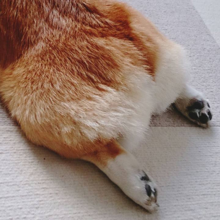 07cd2661 8e10 4539 b924 089bb6aa71b5