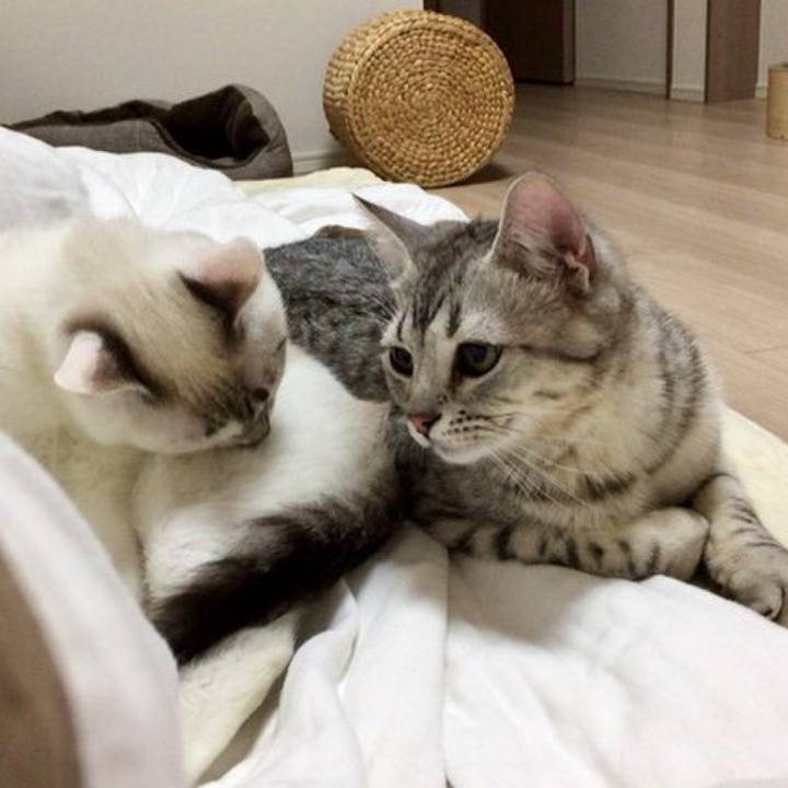 07cd3048 1687 4f81 8c97 3705b1a583cf