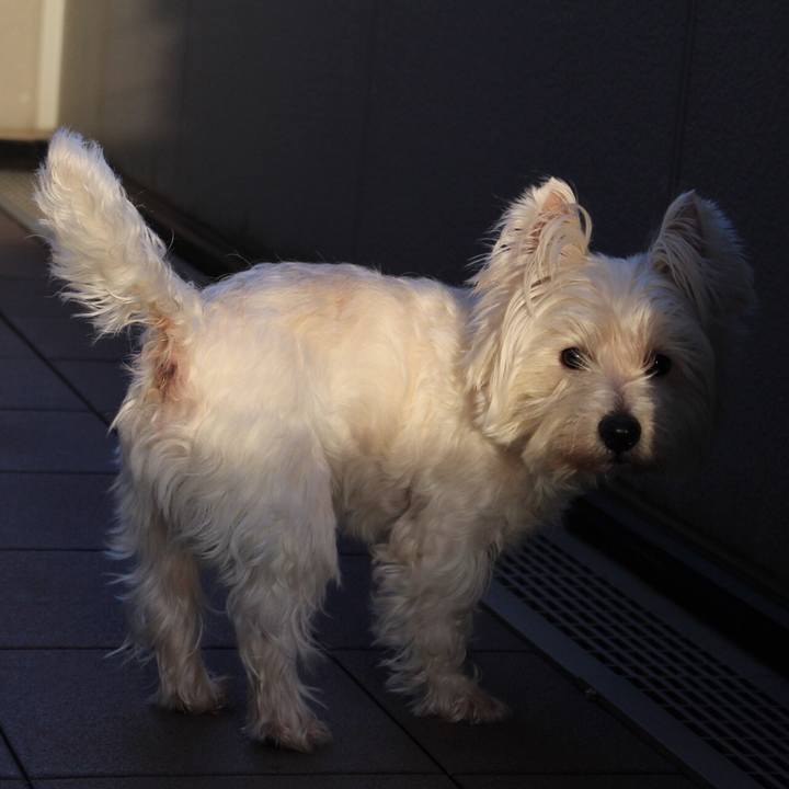 07cd827e 2a8b 46f7 9398 2768f395e3ee