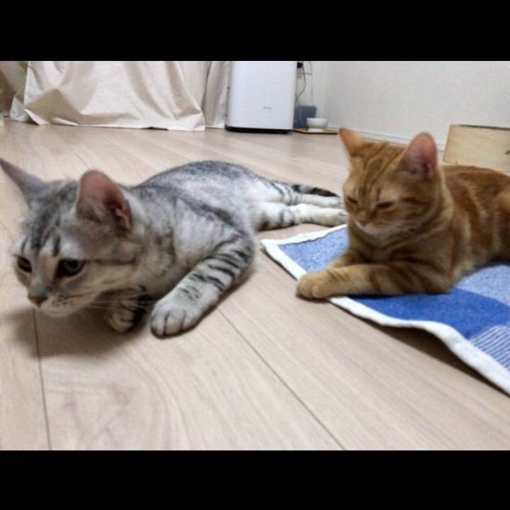 07cdd07f ec85 4362 8e0b fbb8bb404c3c