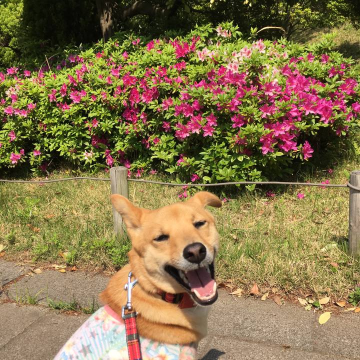 07ce2aef 0a1e 43b5 9c10 0845e40e3bbc