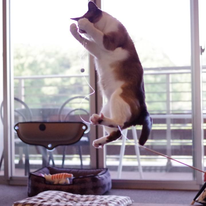 07cee072 25a0 4ac8 bf43 3682dd89416a