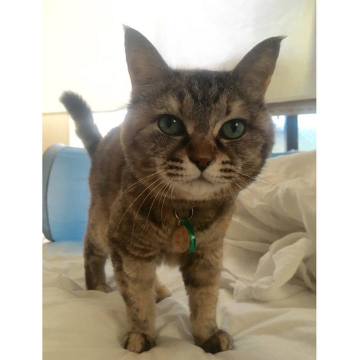 07cf2eb2 ad54 4d6d a5c9 3124783335f9