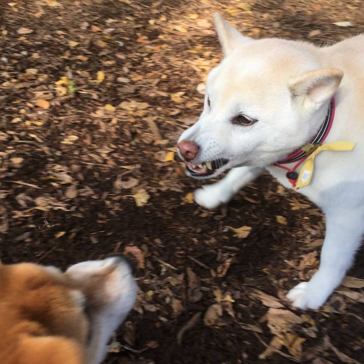 07cf8610 f5b0 48de a7d2 29f04836db70