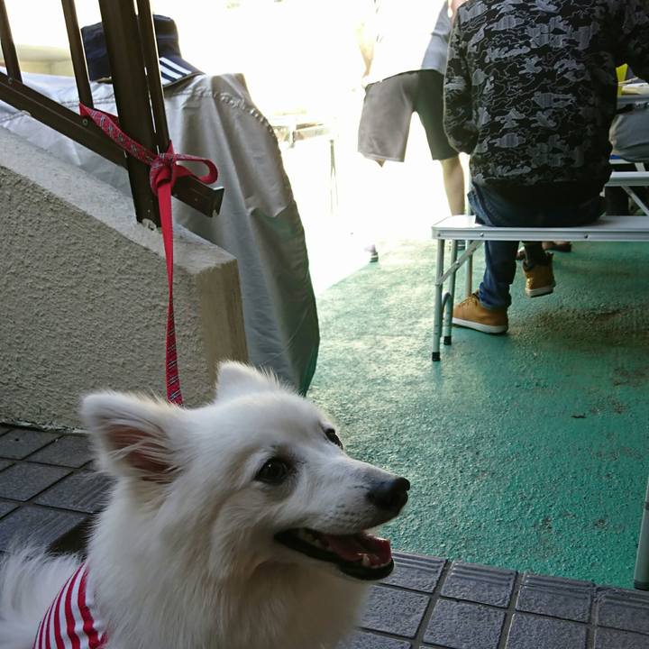 07d0add2 a546 4c69 afd7 e788f04ce59d