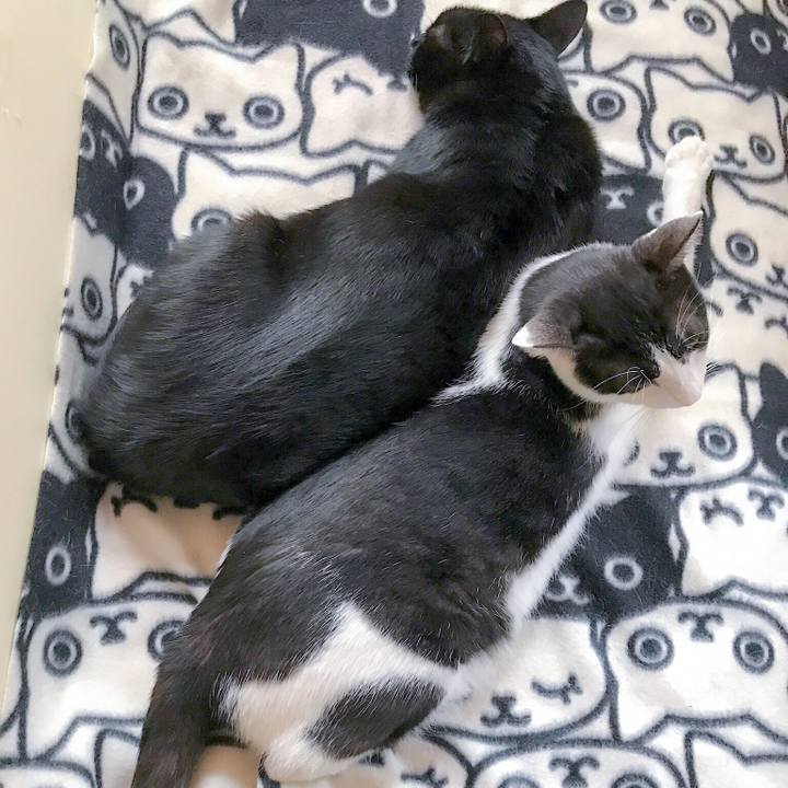 07d0d2d0 8181 4305 b027 45246c1f0702