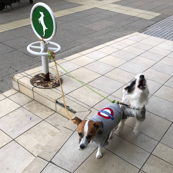 07d170db fd37 4563 a8a0 35be07e0c273