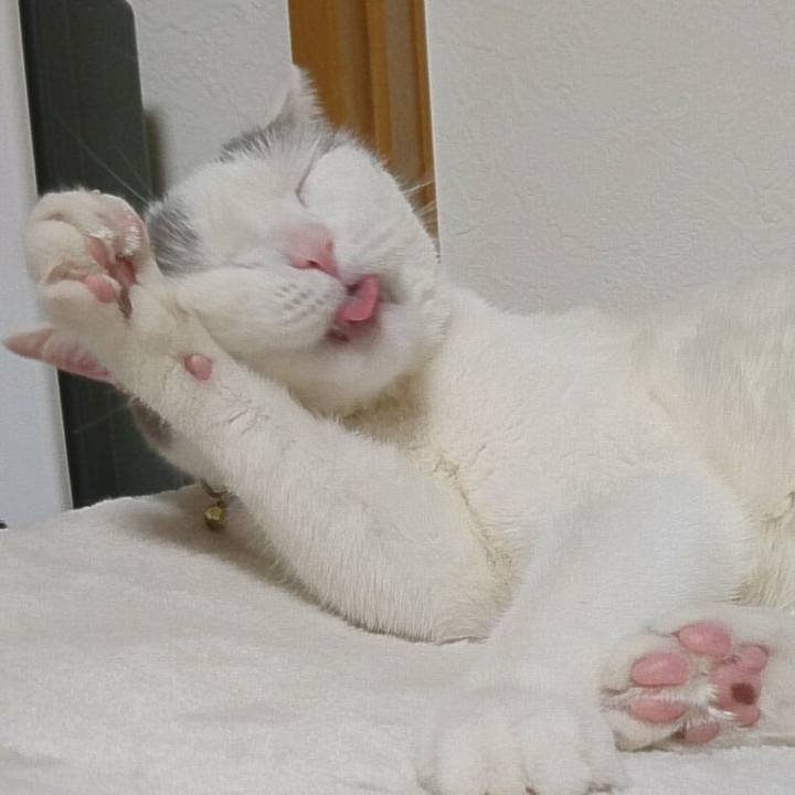 07d19e30 4b03 408e 9358 a72e32a4b335