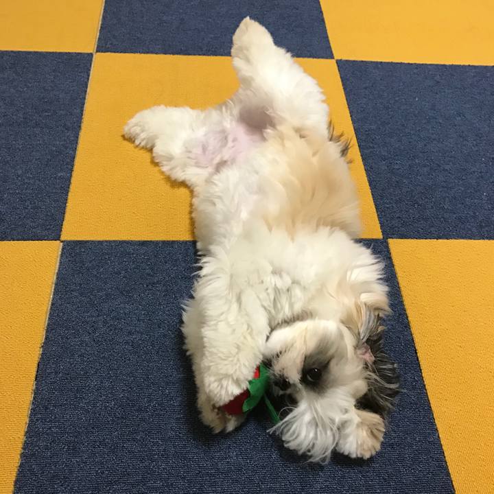 07d23f79 6cc1 4a0b 8edd b4137ab9883b