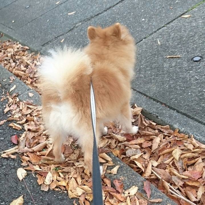 07d29480 897a 4dc7 891a b5435acd7c51