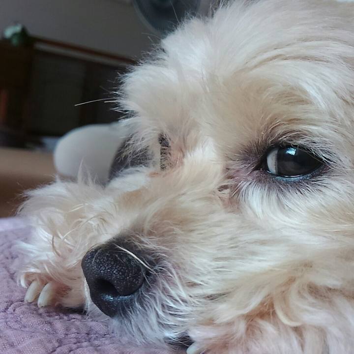 07d35e91 6ae4 4011 a368 ee3e166fdab6