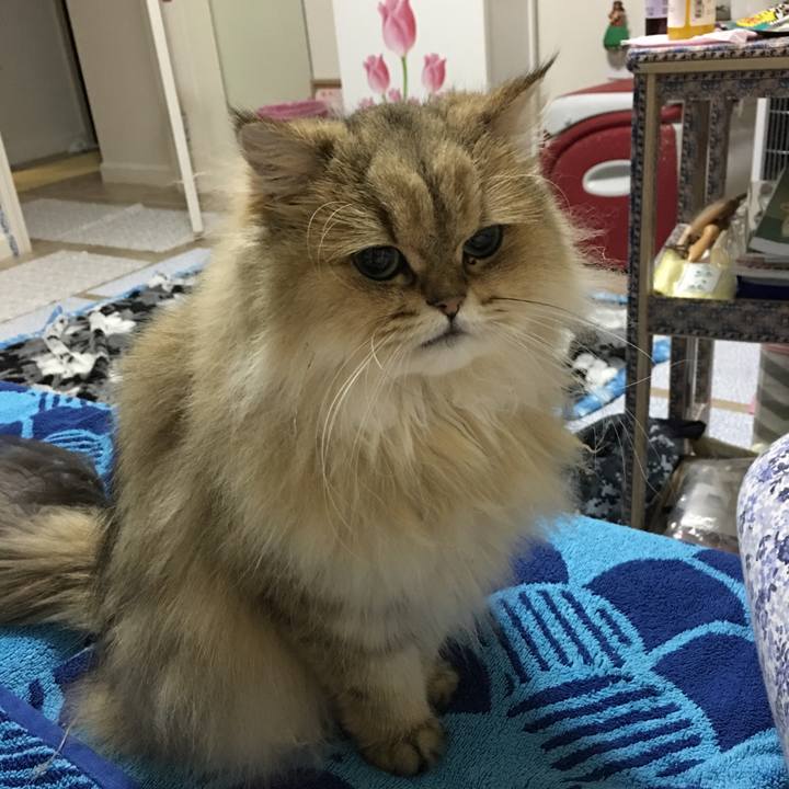 07d3d52d 83c5 409c a7b5 192bdd9de3be