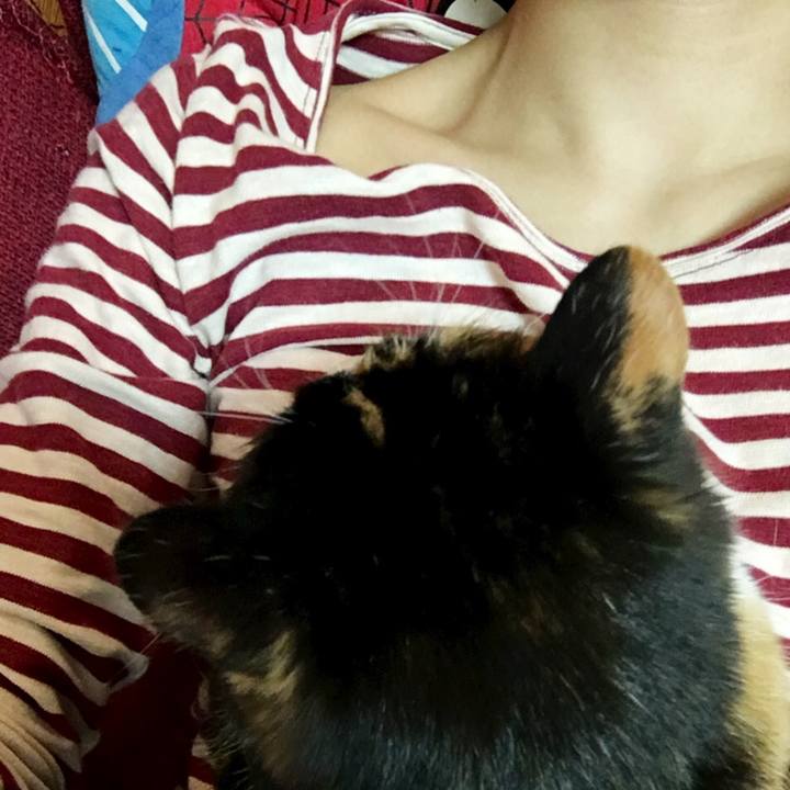 07d3d934 6b62 48a4 8c83 fa98dcbd8bb2