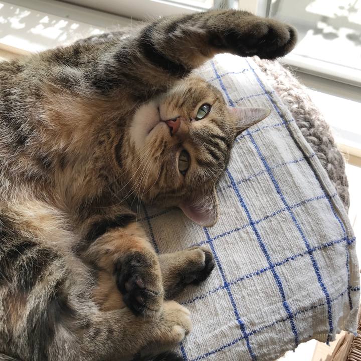 07d5a8f7 ce6b 4bf6 95a2 cc47d913c08c