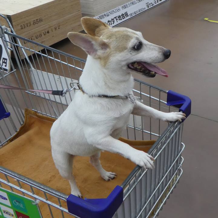 07d62255 cb3e 4255 994e 125862d58371