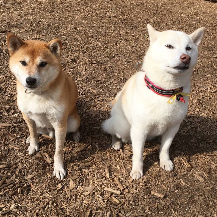 07d6cb98 c7de 40b4 a121 d75419913280