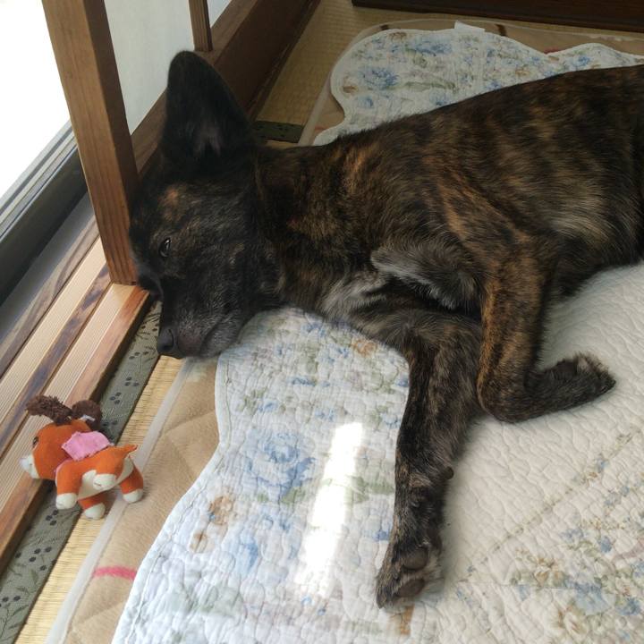 07d70157 e772 478c b01a fb552612a048