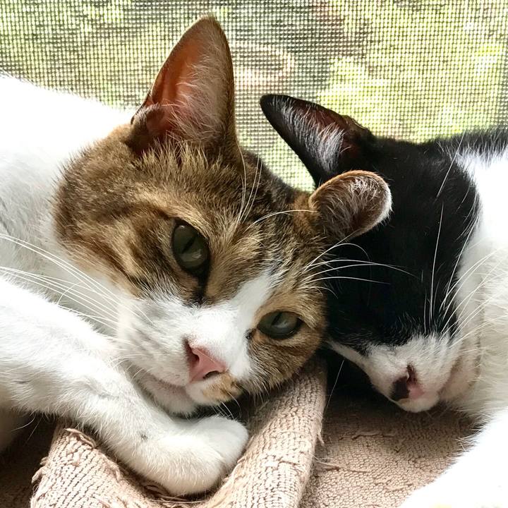 07d715ff 59ba 4413 8d25 b273d742bf5e