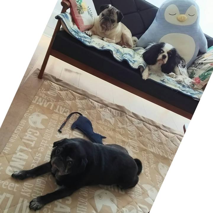 07d72f19 a1a0 45dc 9a25 cf3e6e447097